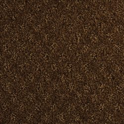 Dixie Home Carpet Alcova G5189 25775