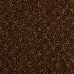 Dixie Home Carpet Alcova G5189 25791