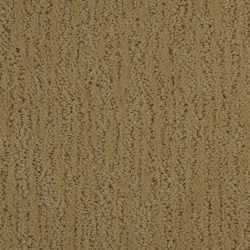 Dixie Home Carpet Delano G5191 25080