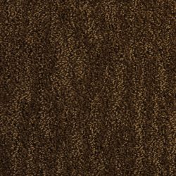 Dixie Home Carpet Delano G5191 25775