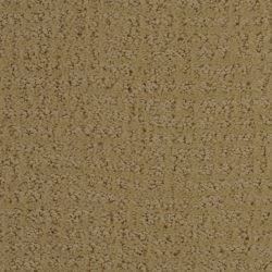 Dixie Home Carpet Millport G5192 25080