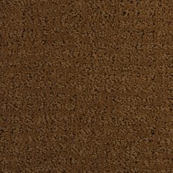Dixie Home Carpet Millport G5192 25120