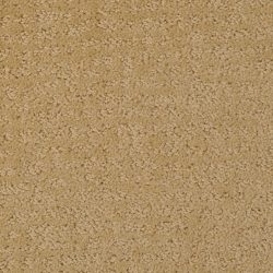 Dixie Home Carpet Millport G5192 25127