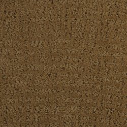 Dixie Home Carpet Millport G5192 25140