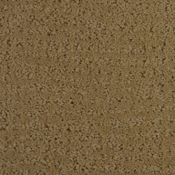 Dixie Home Carpet Millport G5192 25160