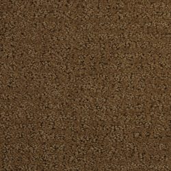 Dixie Home Carpet Millport G5192 25200