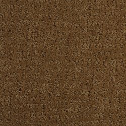 Dixie Home Carpet Millport G5192 25210