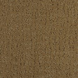 Dixie Home Carpet Millport G5192 25220