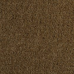 Dixie Home Carpet Millport G5192 25782
