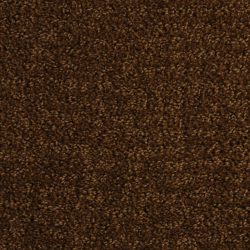 Dixie Home Carpet Millport G5192 25791