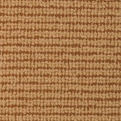 Dixie Home Carpet Nature's Field G5197 36103