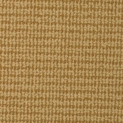 Dixie Home Carpet Nature's Field G5197 46110