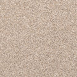 Dixie Home Carpet Delight G5200 21238