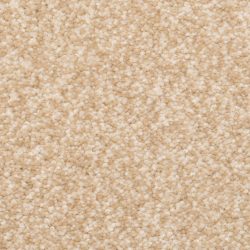 Dixie Home Carpet Delight G5200 21286