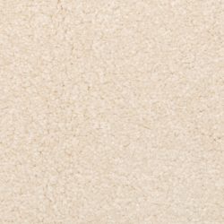 Dixie Home Carpet Delight G5200 25136