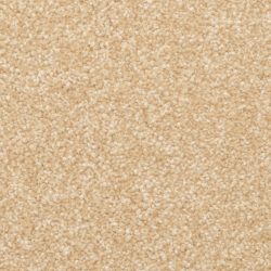 Dixie Home Carpet Delight G5200 25190