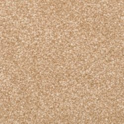 Dixie Home Carpet Delight G5200 25200