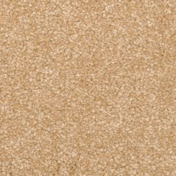 Dixie Home Carpet Delight G5200 25210