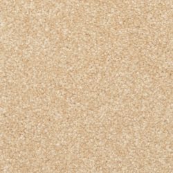 Dixie Home Carpet Delight G5200 25220
