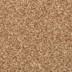 Dixie Home Carpet Delight G5200 25775