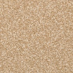 Dixie Home Carpet Delight G5200 25782