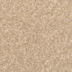 Dixie Home Carpet Delight G5200 31243