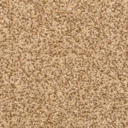 Dixie Home Carpet Delight G5200 35472