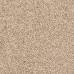 Dixie Home Carpet Cozy G5201 22557