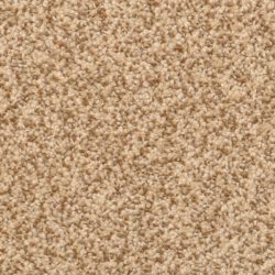 Dixie Home Carpet Cozy G5201 25621