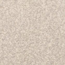 Dixie Home Carpet Cozy G5201 61227