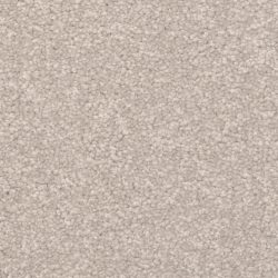Dixie Home Carpet Cozy G5201 61289