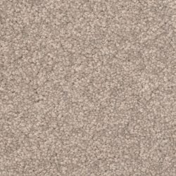 Dixie Home Carpet Cozy G5201 61297