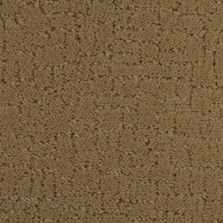Dixie Home Carpet Linked G5202 13715