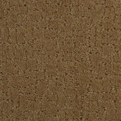 Dixie Home Carpet Linked G5202 21159
