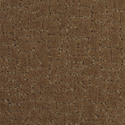 Dixie Home Carpet Linked G5202 22900