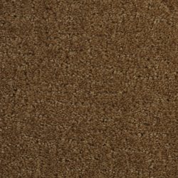 Dixie Home Carpet Linked G5202 29074