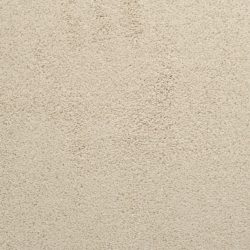 Dixie Home Carpet Caress G5206 16035