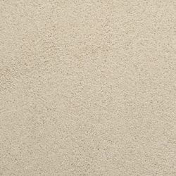 Dixie Home Carpet Caress G5206 16043