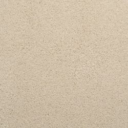 Dixie Home Carpet Caress G5206 16051