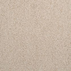 Dixie Home Carpet Caress G5206 26049