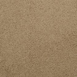 Dixie Home Carpet Caress G5206 26065