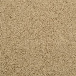 Dixie Home Carpet Caress G5206 26067