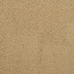 Dixie Home Carpet Caress G5206 36038