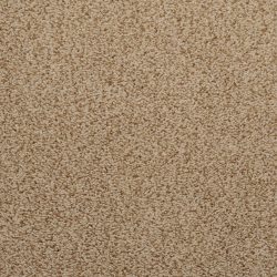 Dixie Home Carpet Caress G5206 36045