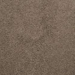 Dixie Home Carpet Caress G5206 36056