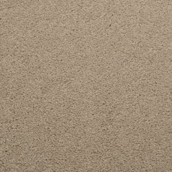 Dixie Home Carpet Caress G5206 36063
