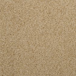 Dixie Home Carpet Caress G5206 46053