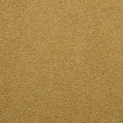 Dixie Home Carpet Caress G5206 46060