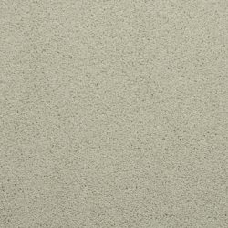 Dixie Home Carpet Caress G5206 56068