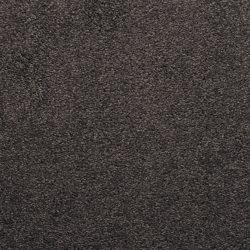 Dixie Home Carpet Caress G5206 66041